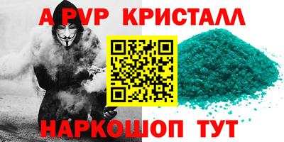 гашик Тверь