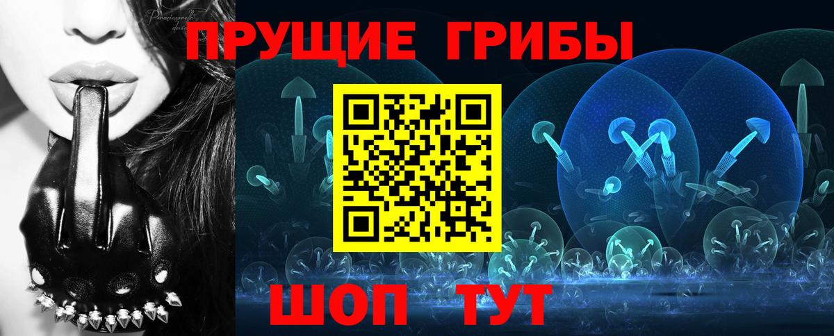 Ахтубинск  Галлюциногенные грибы GOLDEN TEACHER  Вход с VPN 